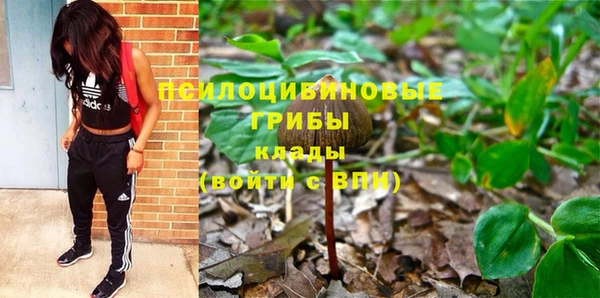 гашишное масло Новодвинск