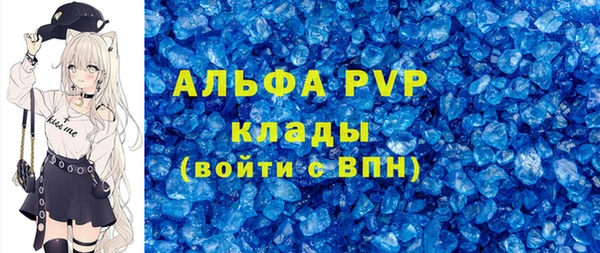 стафф Арсеньев