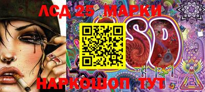 ALPHA PVP Аргун