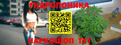 ALPHA PVP Аргун