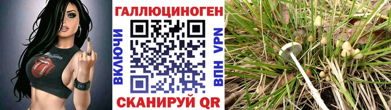 наркотики  Орск  Галлюциногенные грибы ЛСД 
