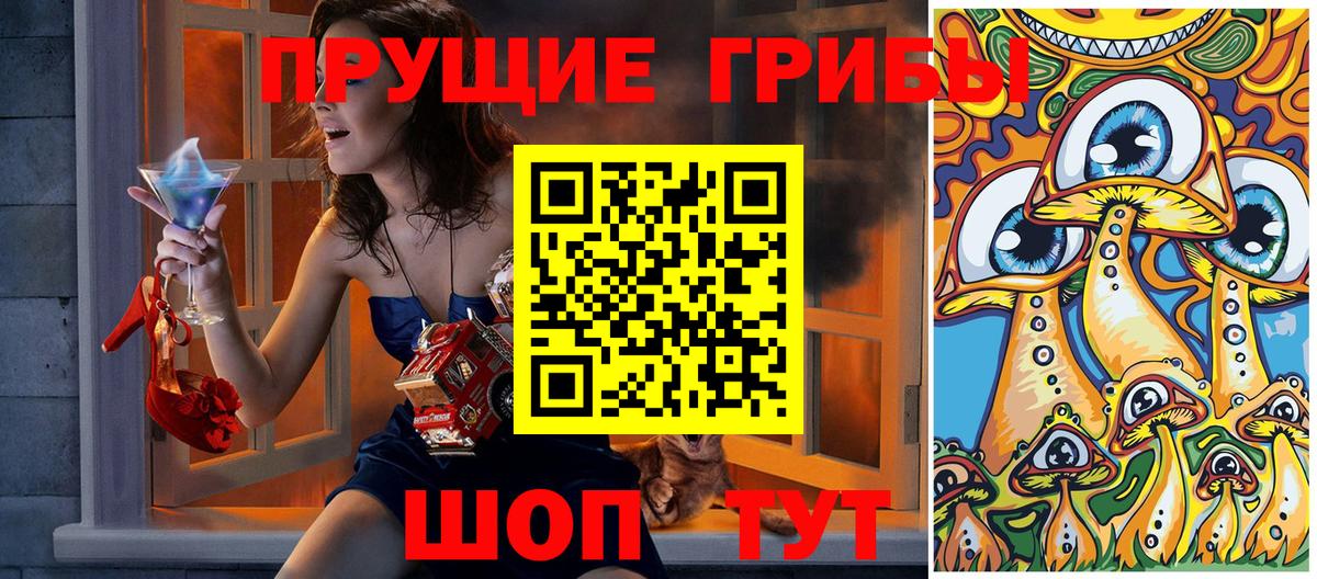 Орск  Галлюциногенные грибы Magic Shrooms  Вход с VPN  где купить наркоту  Псилоцибиновые грибы Psilocybine cubensis 
