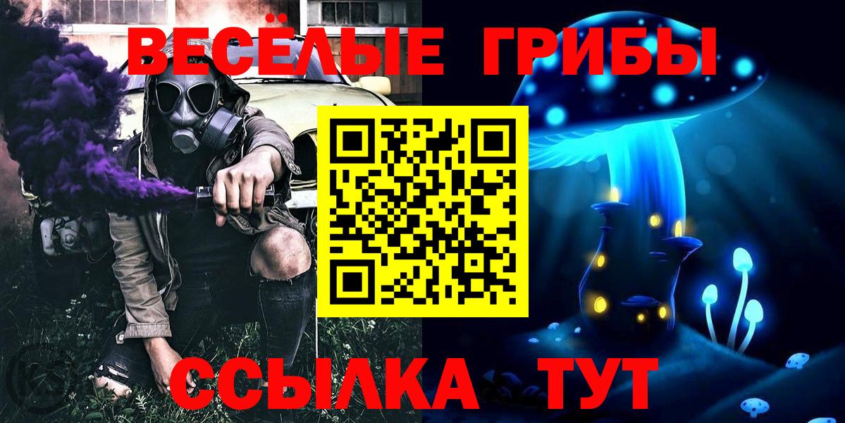 Галлюциногенные грибы Psilocybine cubensis Орск