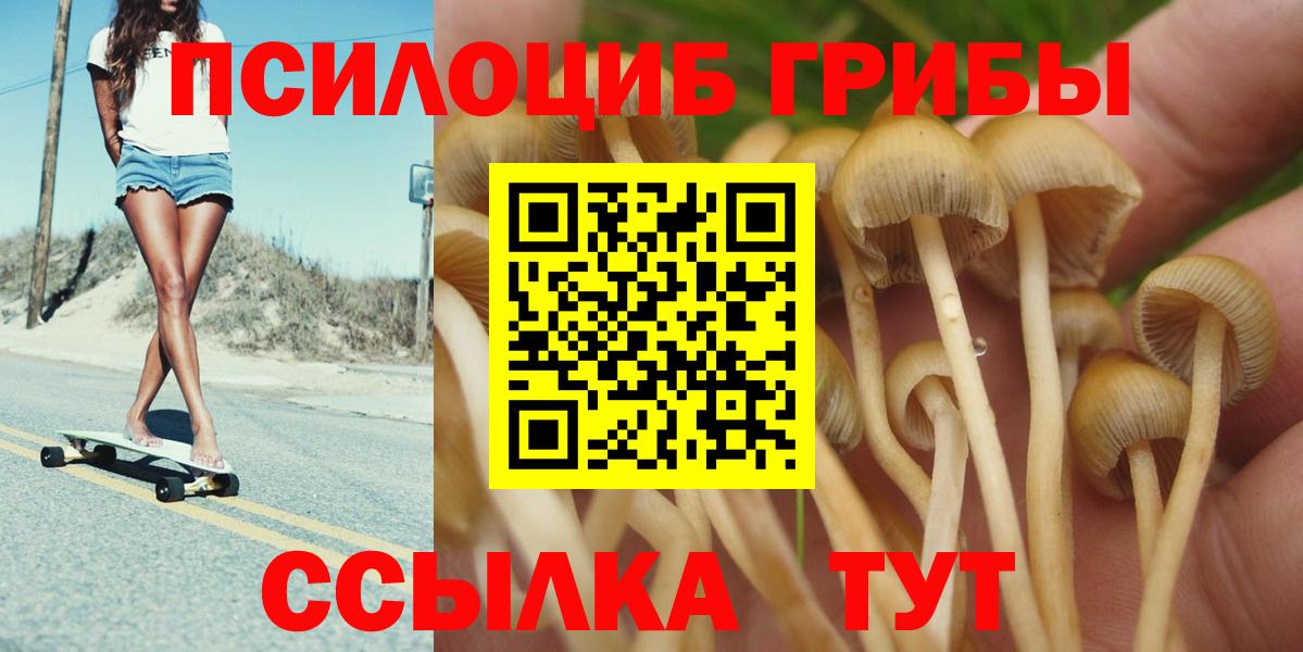 Псилоцибиновые грибы Psilocybine cubensis  Орск 